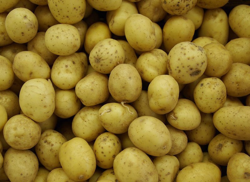 cartofi criza alimentara Romania