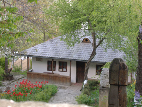 zile porti deschise bojdeuca teatru