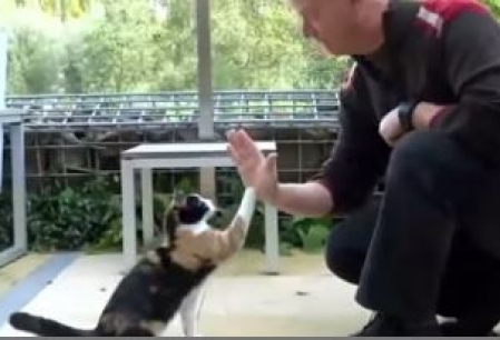 High Five